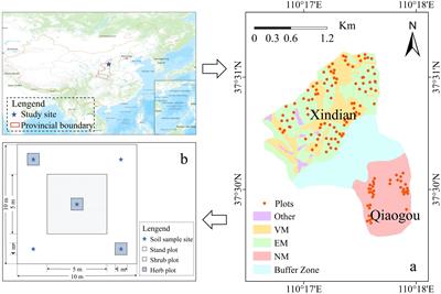 Effects of different soil and water conservation measures on plant functional traits in the Loess Plateau